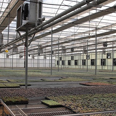 陽(yáng)光板溫室