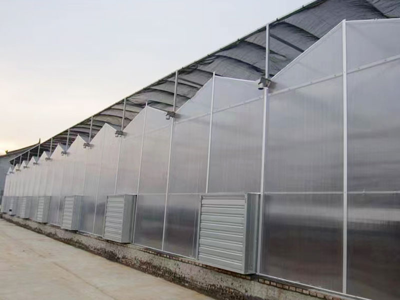 客戶案例現(xiàn)場(chǎng) 客戶案例現(xiàn)場(chǎng)