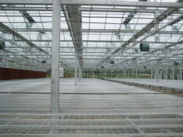 育苗苗床溫室自動(dòng)化