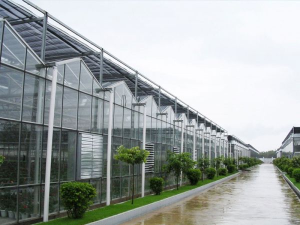 玻璃溫室大棚