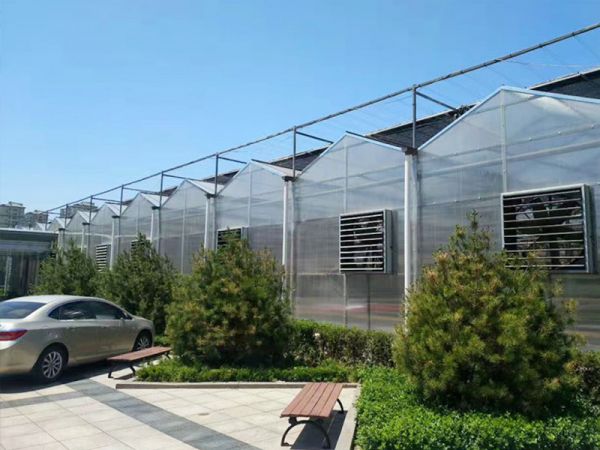 陽光板溫室大棚