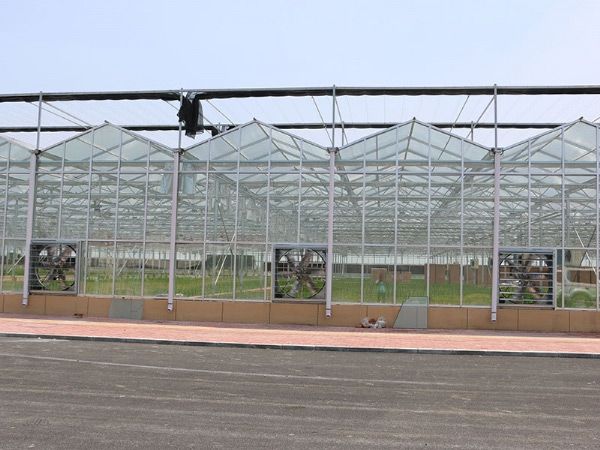 玻璃溫室大棚