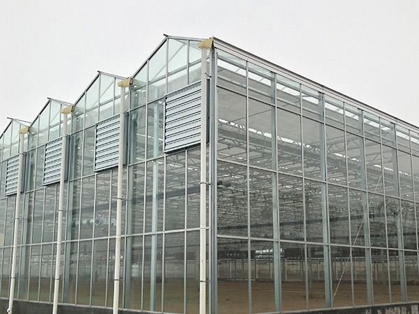玻璃溫室大棚