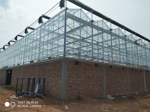 紋絡(luò)陽(yáng)光板—玻璃溫室工程